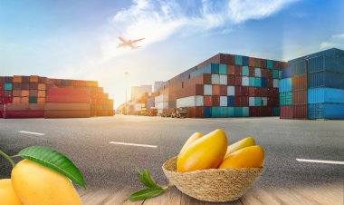 India’s Mango Varieties Conquering the Global Market - Exports Surge to $48 Million, Captivating Global Markets