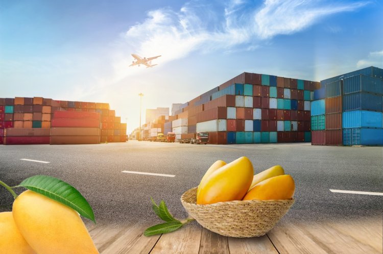 India’s Mango Varieties Conquering the Global Market - Exports Surge to $48 Million, Captivating Global Markets