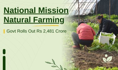 One Crore Farmers to Benefit: Govt Rolls Out Rs 2,481 Crore Natural Farming Drive