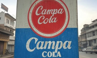 Case Study on Campa Cola rise and fall In Indian Soft Drink Industry
