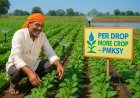 Pradhan Mantri Krishi Sinchayee Yojana: Per Drop More Crop – Promoting Water-Efficient Agriculture in India