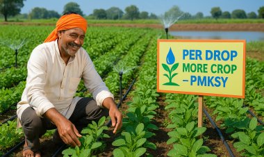 Pradhan Mantri Krishi Sinchayee Yojana: Per Drop More Crop – Promoting Water-Efficient Agriculture in India